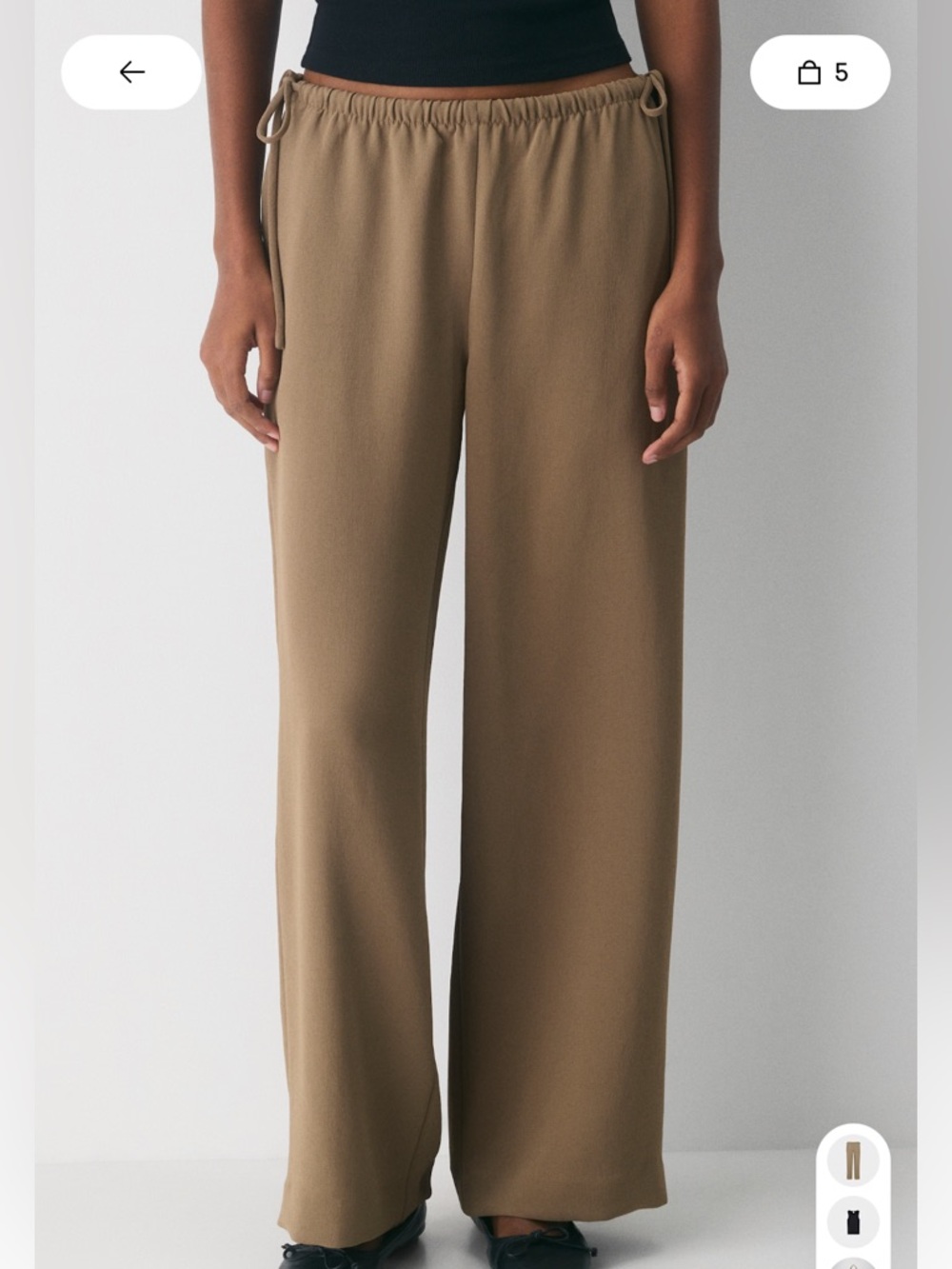 Aritzia Artisan pant